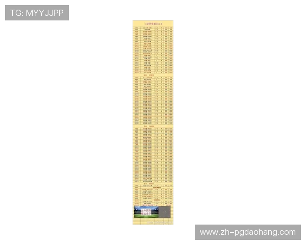 2026年瑞典对阵突尼斯世界杯比赛的战术策略与比赛亮点总结