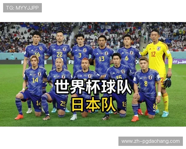世界杯日本与瑞典比赛前两队球员状态及伤病情况详细介绍